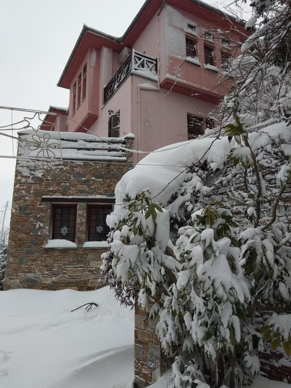 Guesthouse Iris Tsagarada Esterno foto